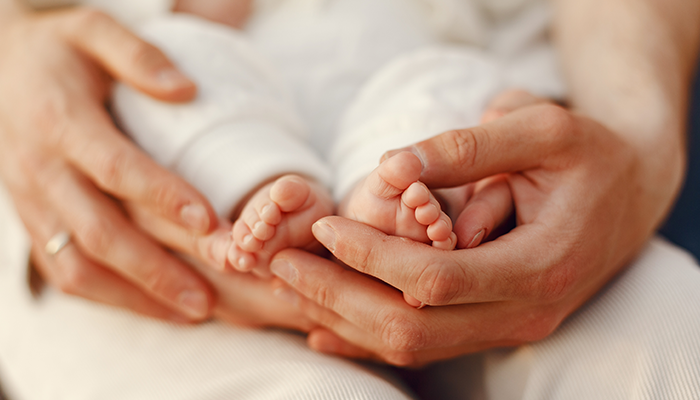Fertilisation and Embryo Development