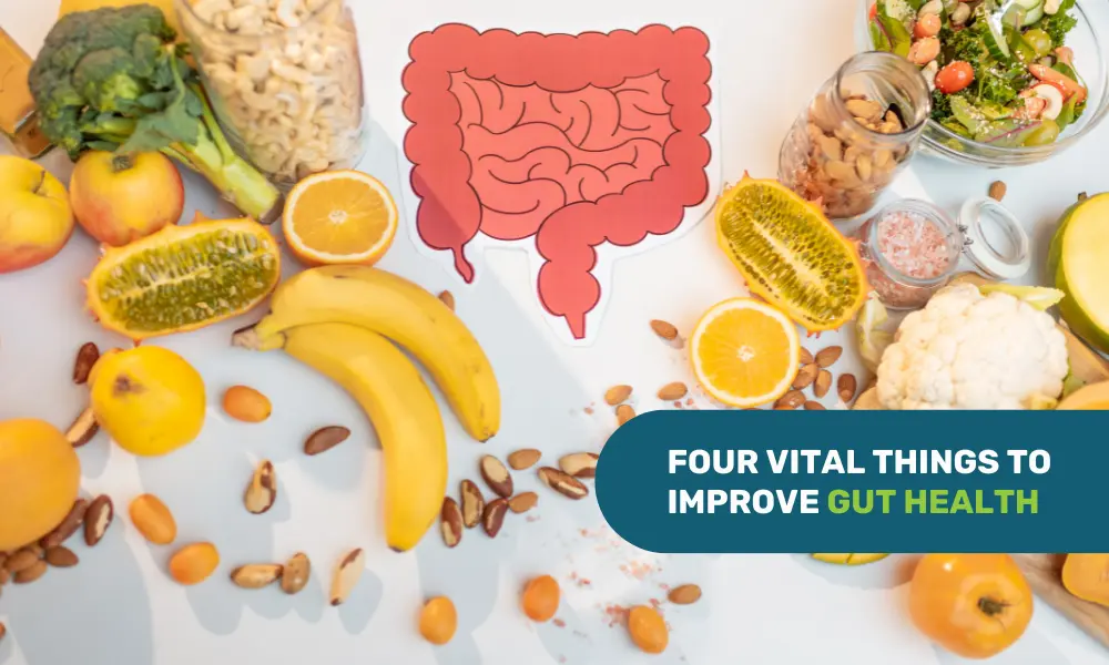 Four Things to Improve Gut Health