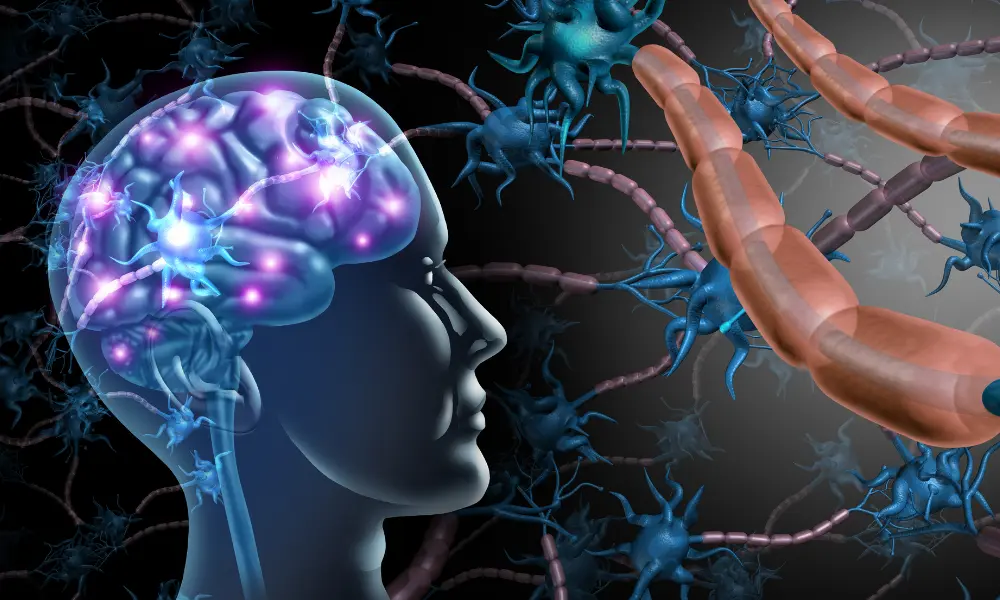 Facts about Glioblastoma