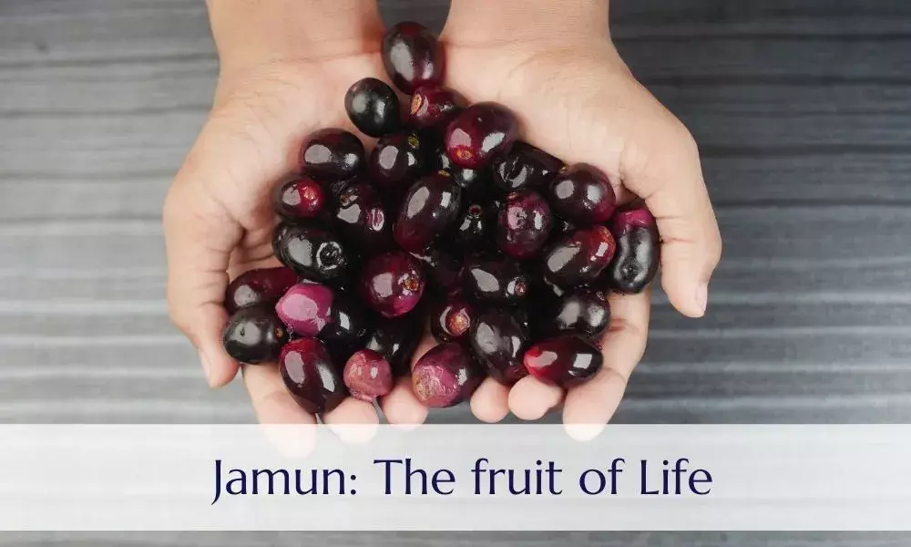 Jamun – the health boosting fruit!
