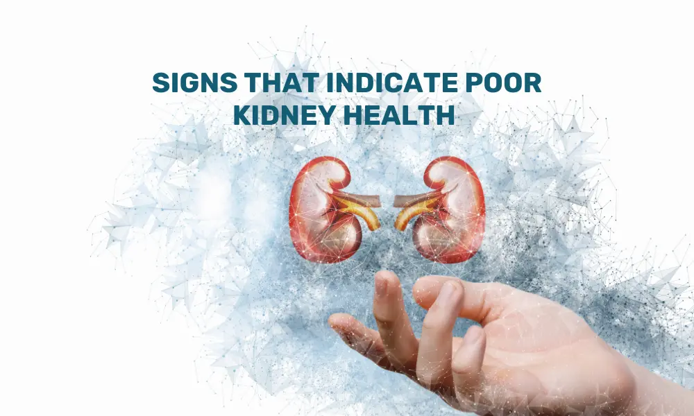 Signs to be aware about Kidney health