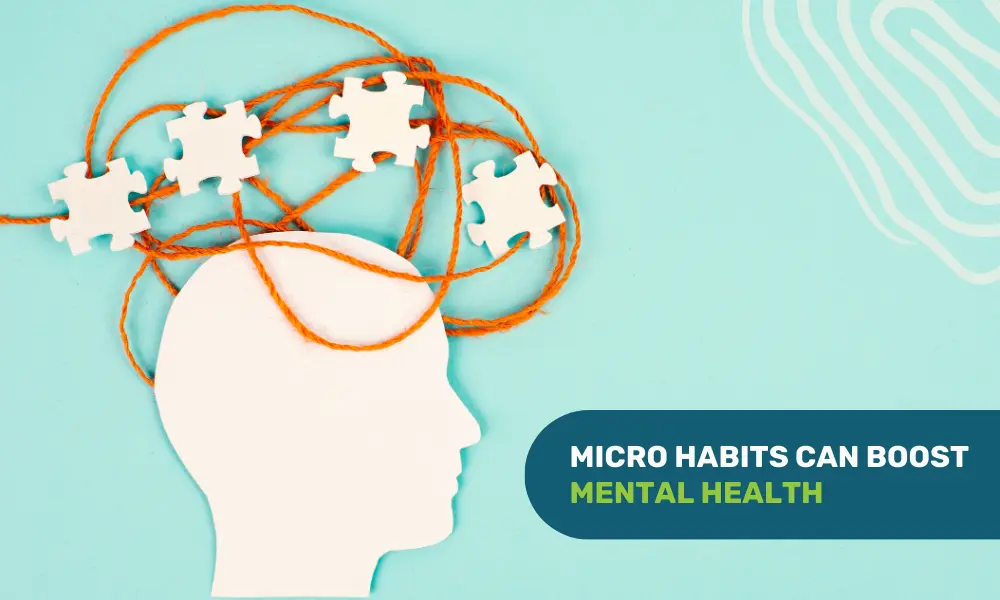 Do Micro Habits impact Mental Health?