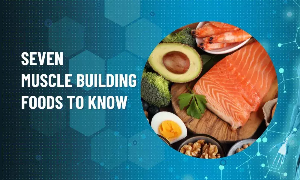 Seven Muscle Building Foods to Know