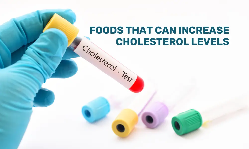 Foods that increase cholesterol levels