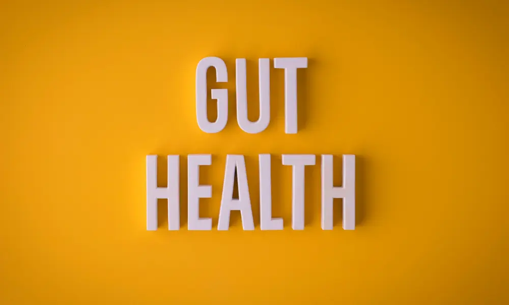 Common Household Items That Affect Our Gut