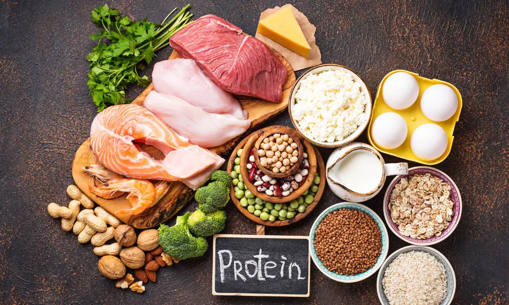 Protein Consumption is Necessary for Weight Loss