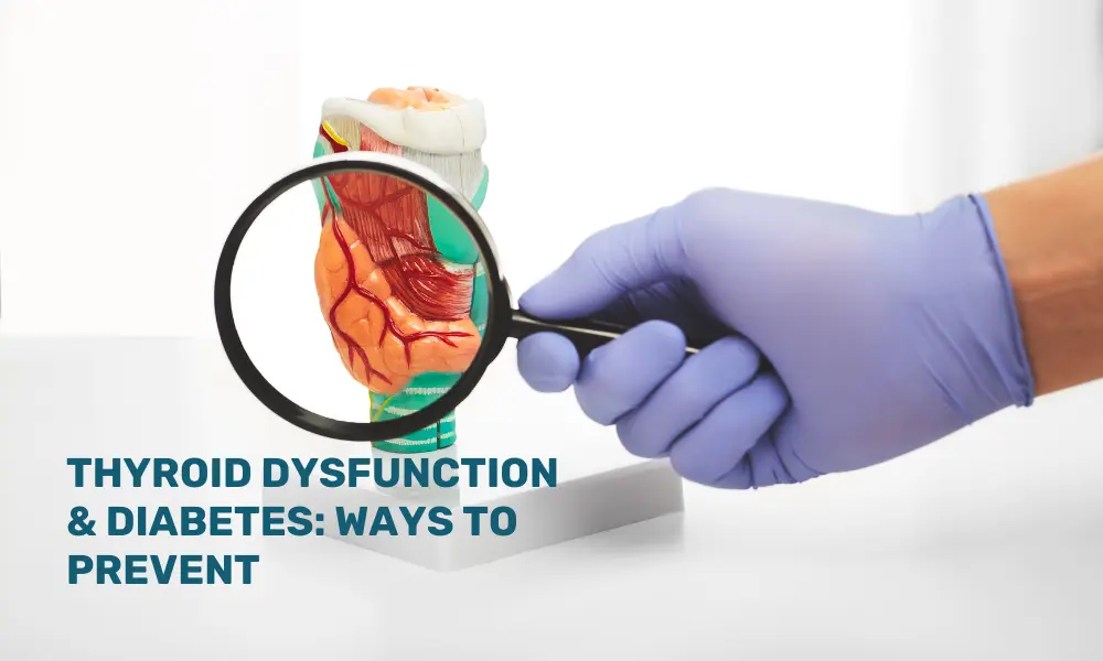 Thyroid Dysfunction & Diabetes