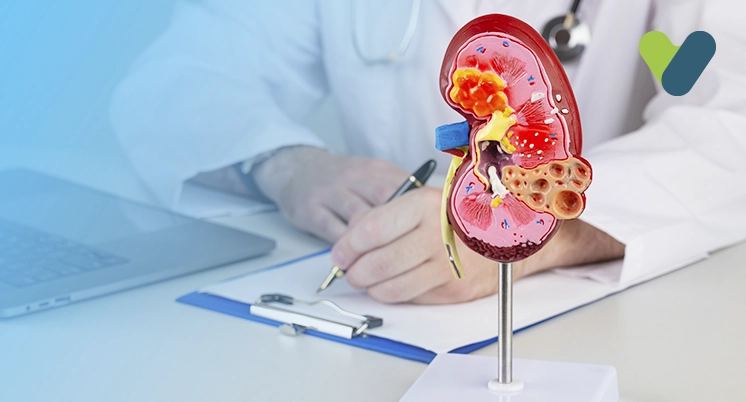 Addison Syndrome: Meaning, Symptoms & Treatment 