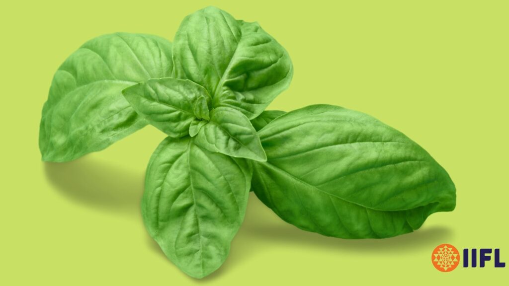 Health Benefits of Basil Leaves 