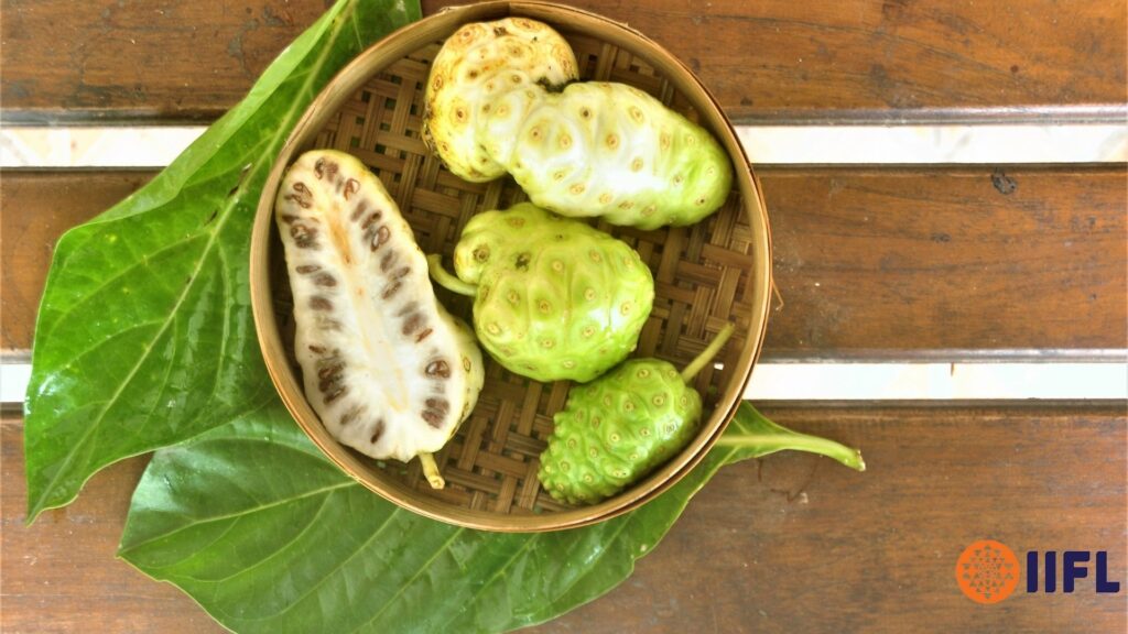 Noni juice for weight loss
