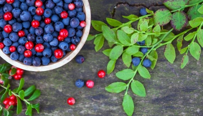 Blueberries and cranberries to keep your liver healthy