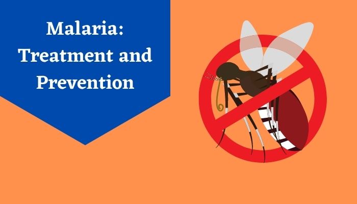 malaria treatment