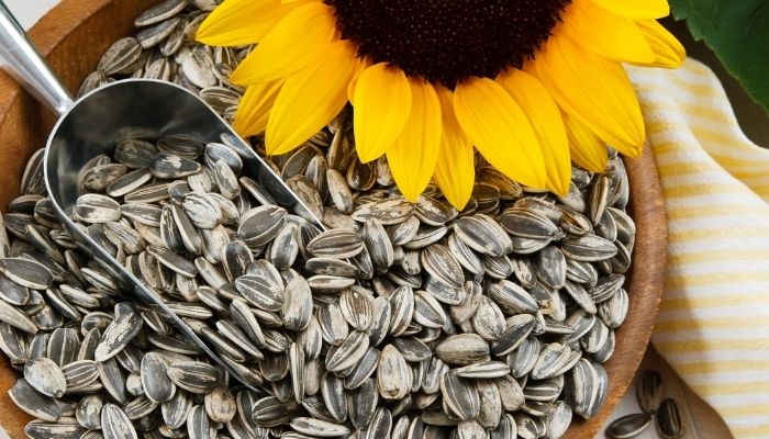 Sunflower Seeds Nutrition Value