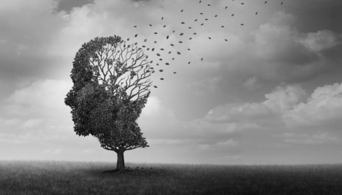 Causes & Risk Factors Alzheimer's Disease