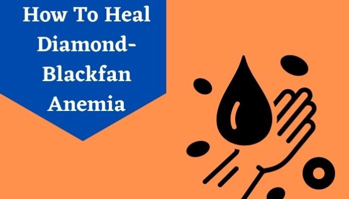 How To Heal Diamond Blackfan Anemia