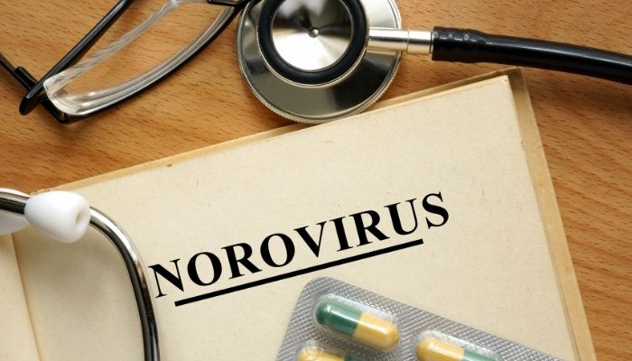 norovirus symptoms