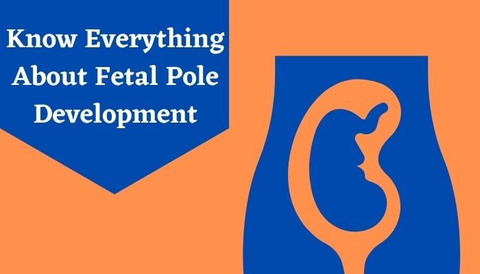 what-is-gestational-sac-without-fetal-pole-youtube