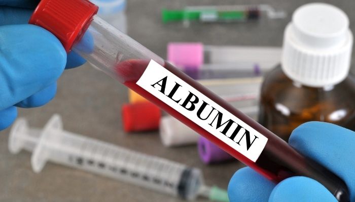 albumin