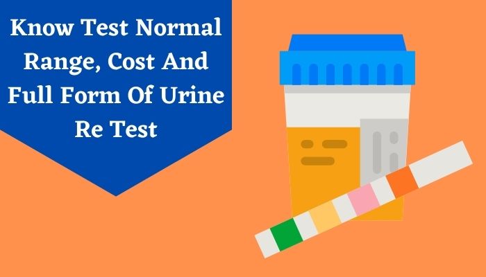 Know Test Normal Range, Cost And Full Form Of Urine Re Test