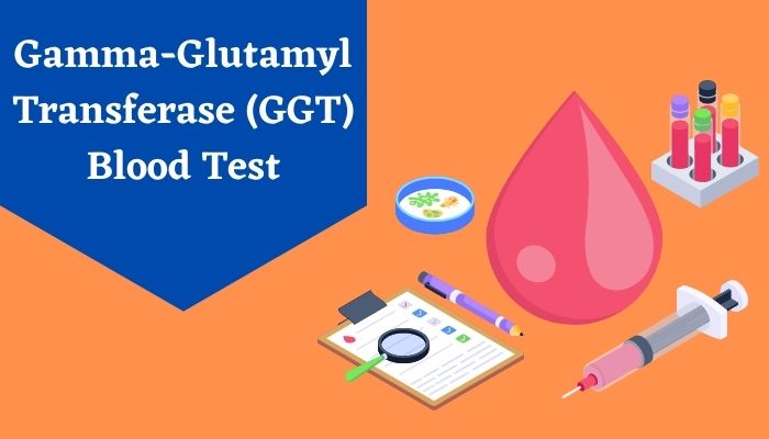 Gamma-Glutamyl Transferase (GGT) Blood Test