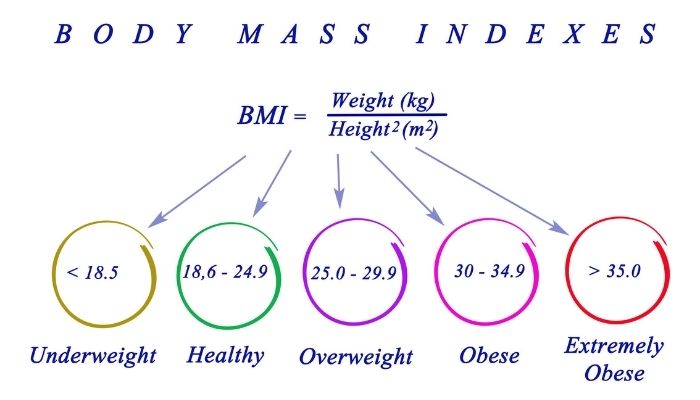 What's a Normal BMI for Women? (Weight, Body Fat, and More) -  FamilyEducation