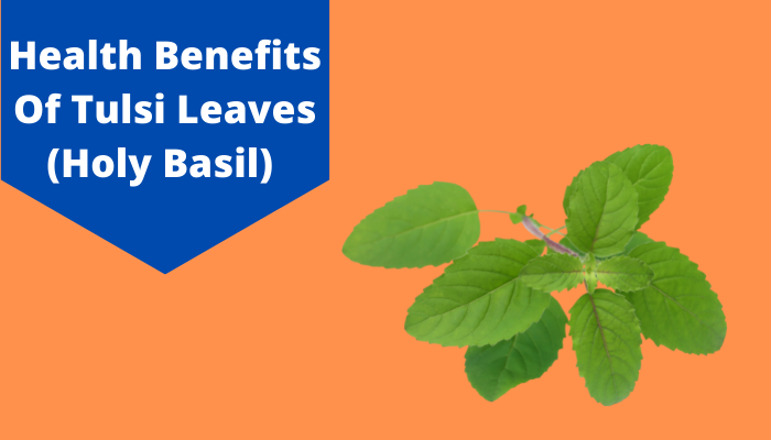 Organic India Tulsi Herbal Supplement Tea Bags,Lemon Ginger - 18 Ea -  myotcstore.com