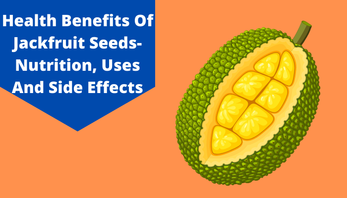 Top 10 Health Benefits Of Jackfruit Seeds with Nutrition, Uses & Side Effects