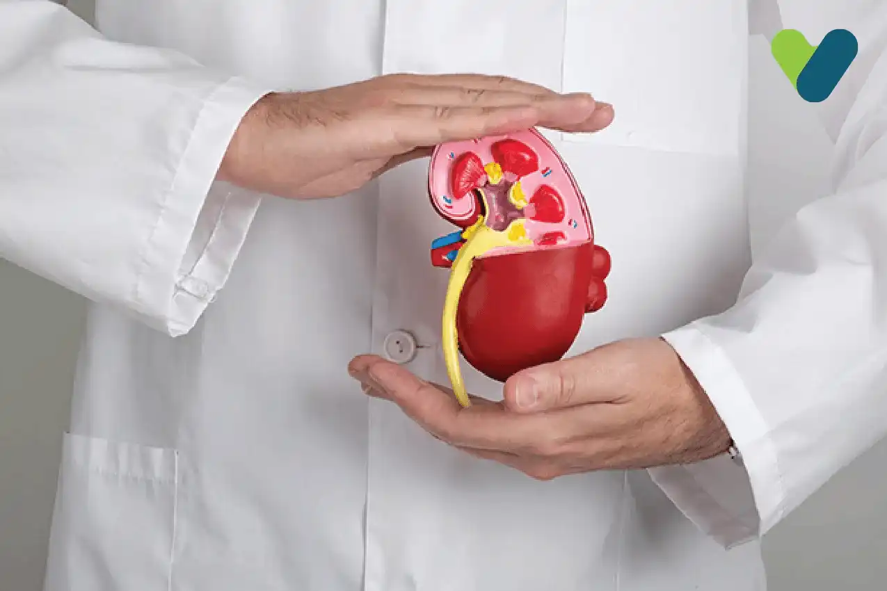 treat gall bladder and kidney stones