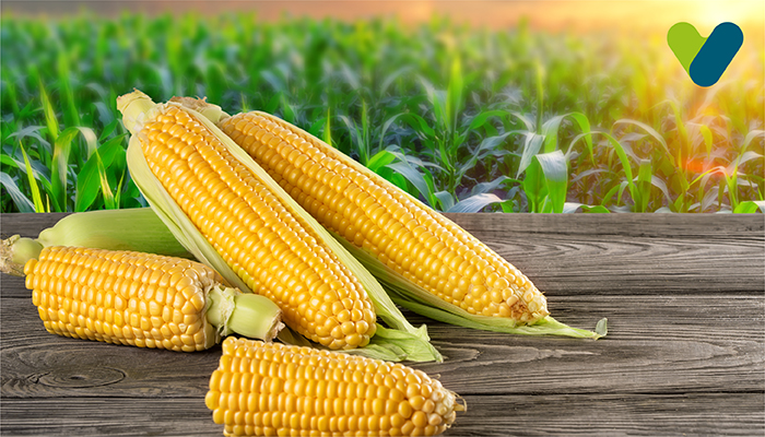 Benefits of Corn for Weight Loss: A Healthy Addition to Your Diet