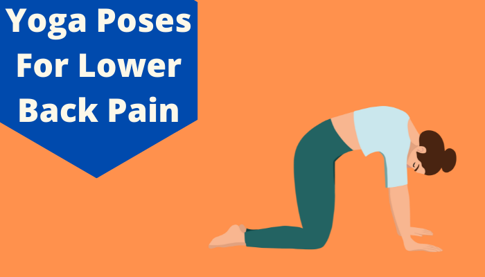 https://assets.livlong.com/ll-media-content/uploads/Yoga-Poses-For-Lower-Back-Pain.png