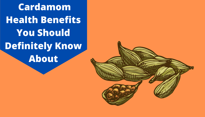 Top 10 Wonderful Cardamom Health Benefits You Should Know