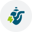 travelInsurance